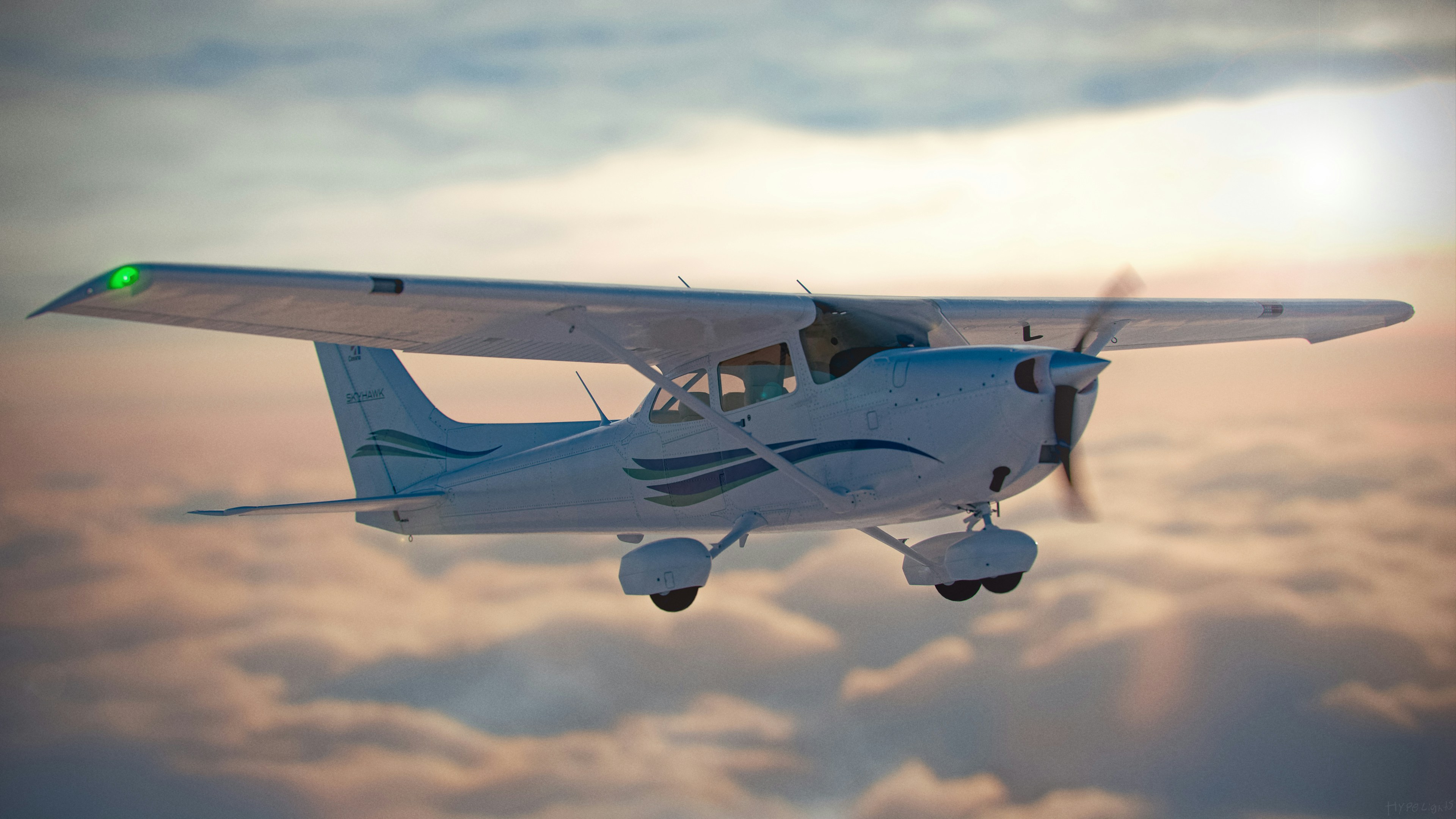 Cessna 206